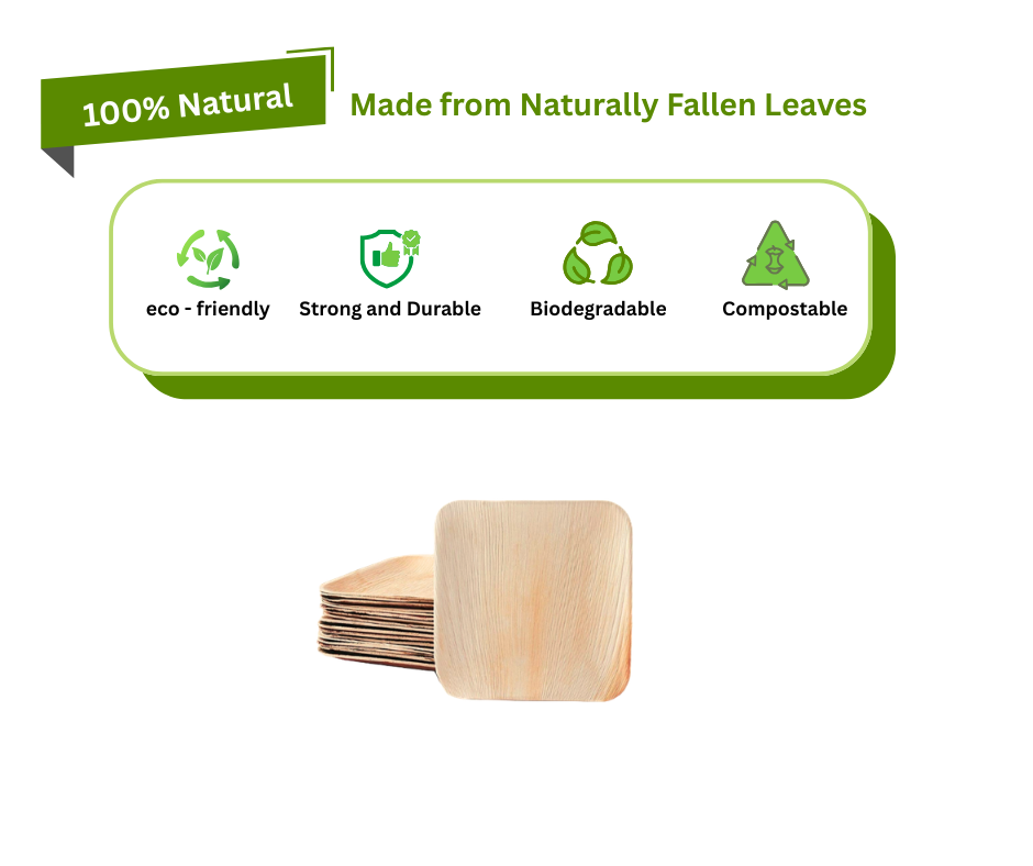 Eco Friendly Palm Leaf 6″ Square Plates Yelai EcoTact