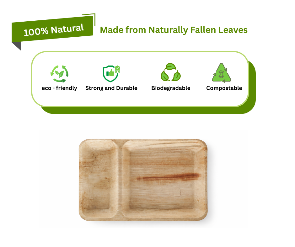 11''x7'' Two Compartment Palm Leaf Plates – Disposable Biodegradable Serving Plates Yelai EcoTact
