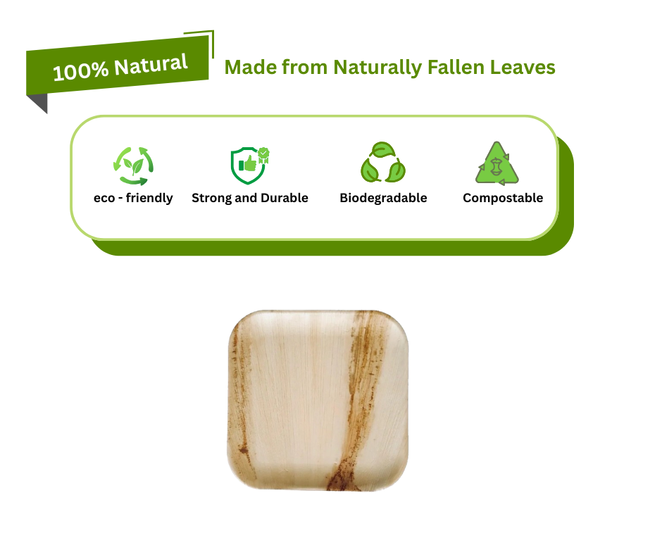 8" (20 cm) Square Palm Leaf Plates | Eco Disposable Plates UK Yelai EcoTact