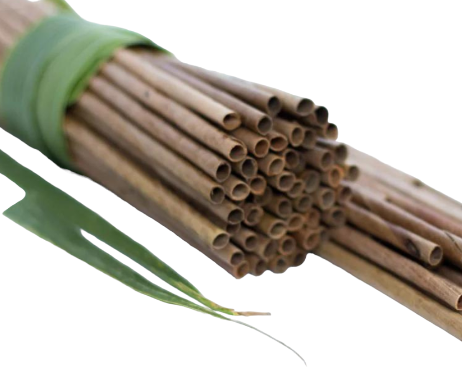 Coconut Palm Leaf Straws 210X8mm (50 Pack) Yelai EcoTact