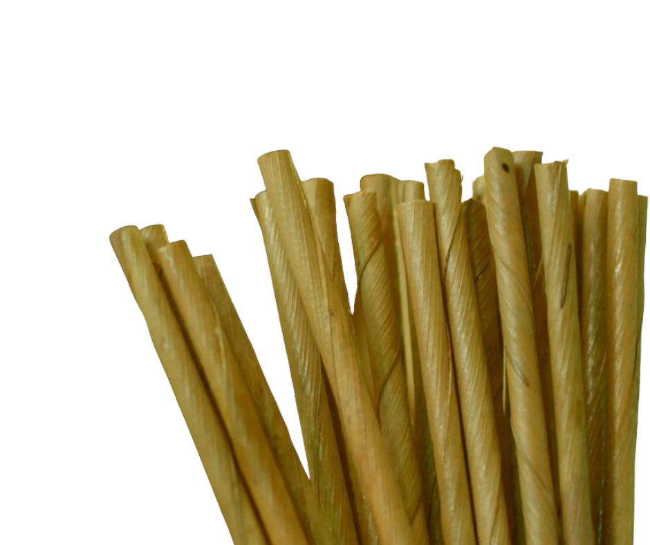 Coconut Palm Leaf Straws 140x4mm (50 Pack) Yelai EcoTact