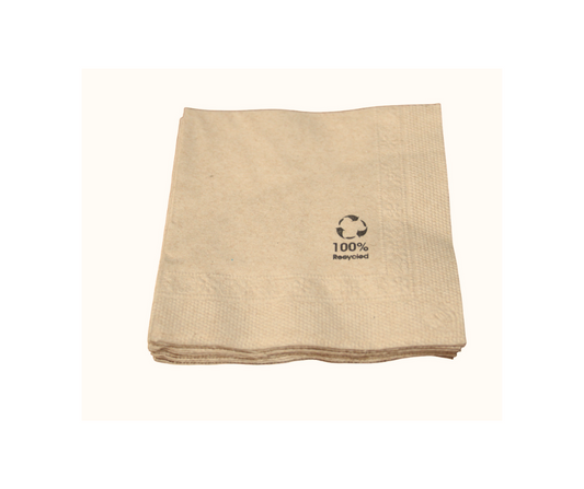 KRAFT RECYCLED NAPKIN – 2 PLY (Pack of 100) EcoTact